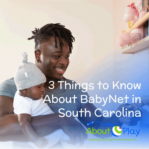 3 Things to Know About BabyNet in South Carolina_Image